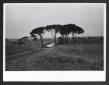 Un lungo viale conduce ai poderi n. 52 e 43 dove s ...