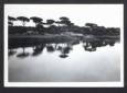 Veduta di un lago circondato dalla vegetazione