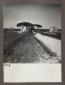 Visione panoramica della strada di bonifica n. 1;  ...