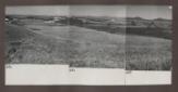 Panoramica di una zona di nuovo appoderamento; si  ...