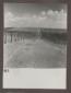 Azienda di Prima Porta. Panoramica della vigna di  ...
