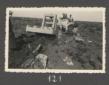 Civitavecchia (tenuta Pantano, ex Felice Guglielmi ...