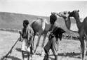 Giovani indigeni con cammelli