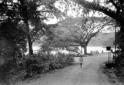 Il lago di Kandy