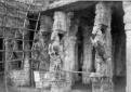 Cavalli scolpiti sulle colonne del tempio
