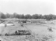 Tipiche lestre dell'Agro pontino e campi coltivati