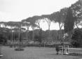 L'Ippodromo di piazza di Siena durante il Concorso ...