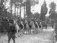 Sfilata di una banda di corazzieri a cavallo duran ...
