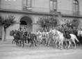 Sfilata di carabinieri a cavallo in uniforme da gu ...