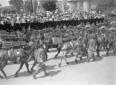 Reparti someggiati dell'Esercito sfilano davanti a ...