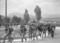 Reparti di alpini, con le loro buffetterie ed i mu ...