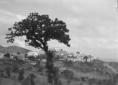 Un paese dell'Irpinia nella zona delle grandi mano ...