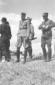 Militari italiani ed ungheresi sul sul terreno del ...
