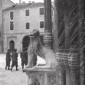 statua a forma di leone di fronte alla chiesa, sol ...