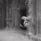 il portale di una chiesa con leoni decorativi, cam ...