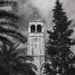 il campanile di una chiesa emerge dagli alberi, ca ...