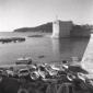 Il porto, fortificazioni, barche, campo lunghissim ...