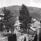 Alberi nei cortili a terrazza, la citt vista dall ...