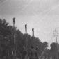 Esercitazione di spegnimento dell'incendio; soldat ...