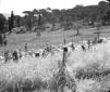 Veduta del campo da golf e del campo di grano; cam ...