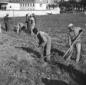 Addetti in tuta lavorano la terra con le vanghe; s ...