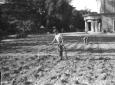 Un giardiniere annaffia un campo; sullo sfondo le  ...