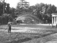Un giardiniere annaffia le piantine sul campo; sul ...