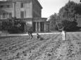 Giardinieri zappano un orto davanti al palazzo; ca ...