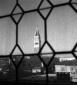 Campanile di san Marco visto da dietro l ...