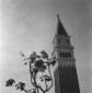 Il campanile di San Marco; totale