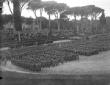 Coorti di miliziani schierate sul campo di piazza  ...