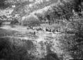 Soldati a cavallo guadano un fiume