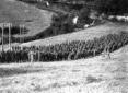 Battaglioni dell'esercito schierati al Passo della ...