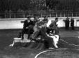 Bruno Mussolini, alcuni uomini e un atleta del Lic ...