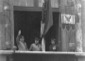 Mussolini, Teruzzi e Starace affacciati al balcone ...