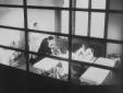 Visite mediche all'interno della sede dell'ONMI