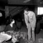 Claudia Cardinale nell'atrio dell'aeroporto conver ...