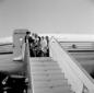 Jayne Mansfield con il marito ed i figli in cima a ...