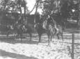 Mussolini a cavallo