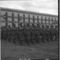 Militari schierati in un campo. Campo medio