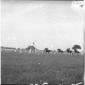 Cavalieri al galoppo durante la gara - campo lungo