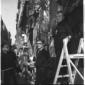 Momenti dell'annale manifestazione di arte in via  ...