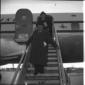 Piccioni colto mentre scende dall'aereo. Campo med ...