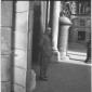 Simonini sull'ingresso di palazzo Madama - campo m ...