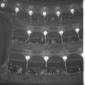 I palchi del teatro dell'Opera di Roma addobbati p ...