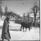 Una donna e un bovino per le strade innevate a Riv ...