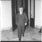 Leone in un corridoio di palazzo Chigi - totale