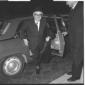 Leone ripreso mentre scende dall'automobile - tota ...