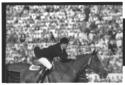 Un fantino in sella ad un cavallo durante una gara ...