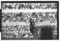 Un fantino in sella ad un cavallo durante una gara ...